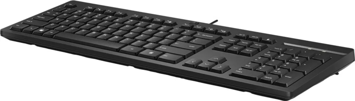 HP 125 WIRED KEYBOARD (6 / 6)