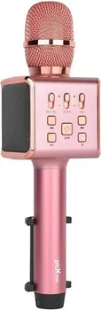 WSTER L889 KARAOKE PORTABLE BLUETOOTH (1 / 7)