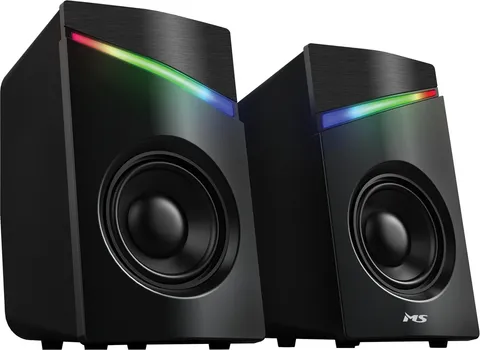 MS ECHO C300 (1 / 1)