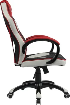 BYTEZONE RACER PRO (9 / 11)