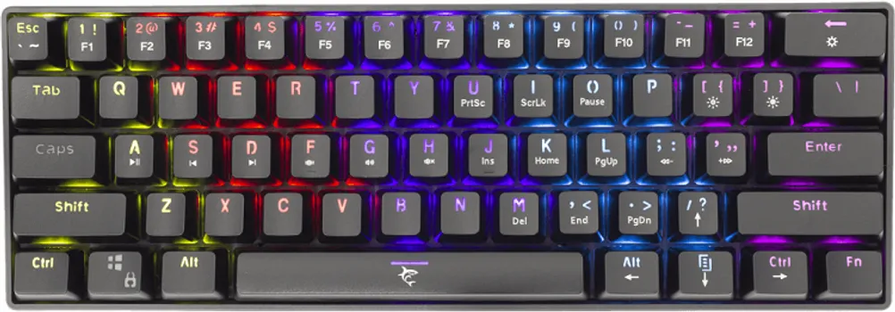 WHITE SHARK SHINOBI GK-2022 (5 / 26)