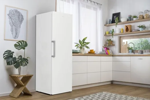 GORENJE FN 619 EEW5 [280L] (18 / 22)