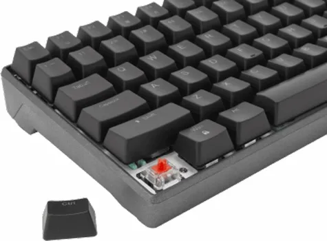 WHITE SHARK KATANA ESL-K2 (4 / 4)