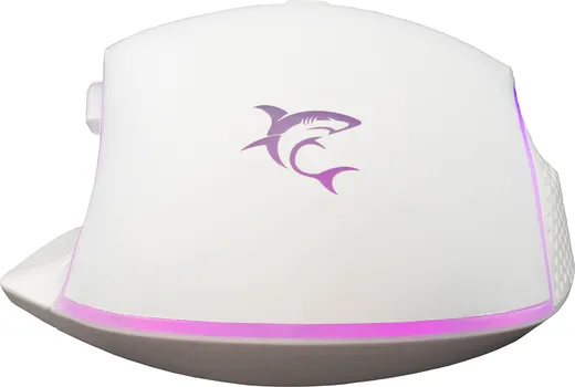 WHITE SHARK GARETH GM-5009 (17 / 18)