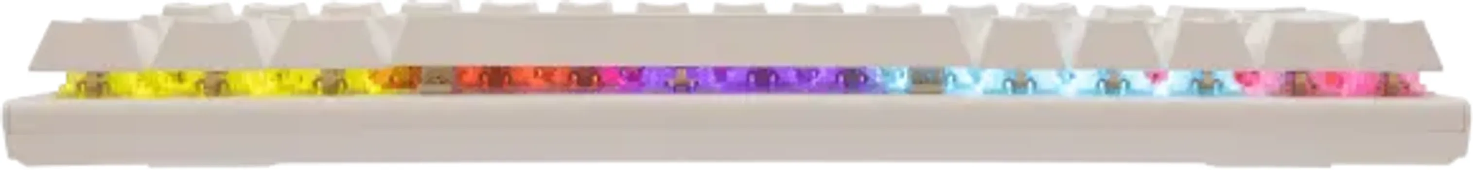 WHITE SHARK WAKIZASHI (14 / 37)
