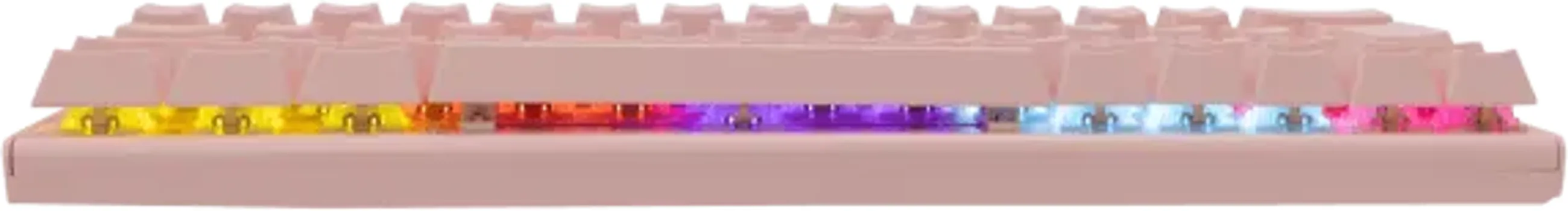 WHITE SHARK WAKIZASHI (15 / 37)
