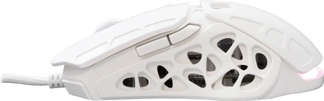 WHITE SHARK GM-5016 ECTOR (10 / 11)