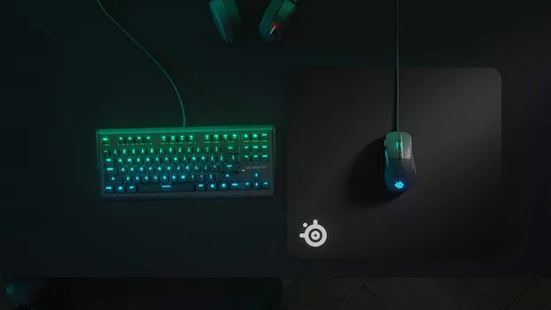 STEELSERIES QCK HEAVY L (5 / 8)
