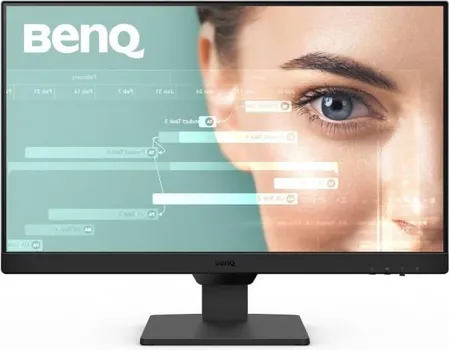 BENQ GW2490 (1 / 10)