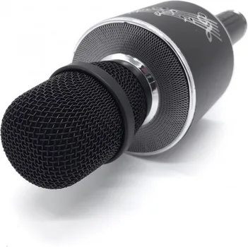 WSTER YS-66 KARAOKE BLUETOOTH (13 / 15)