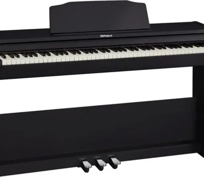 ROLAND RP-102