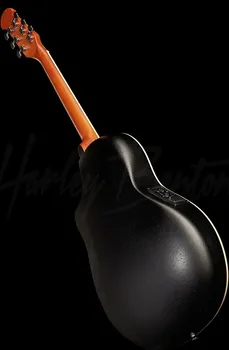 HARLEY BENTON HBO-850BLUE (8 / 11)