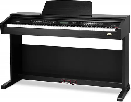 CLASSIC CANTABILE DP-A 310 SM [88 keys] (1 / 8)
