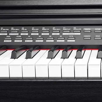 CLASSIC CANTABILE DP-A 310 SM [88 keys] (3 / 8)
