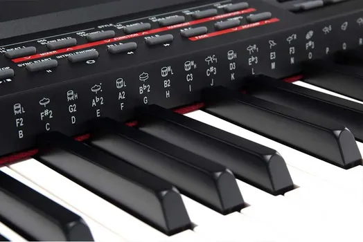 CLASSIC CANTABILE SP-250 BK [88 keys] (6 / 12)