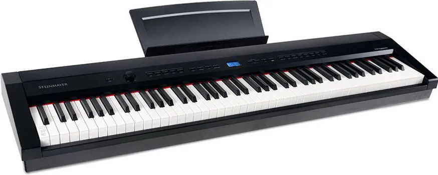 STEINMAYER P-60 SM [88 keys] (2 / 11)