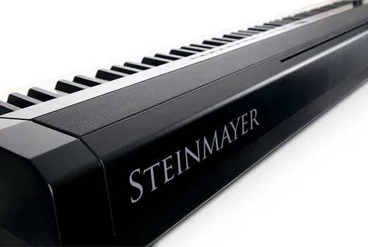 STEINMAYER P-60 SM [88 keys] (3 / 11)