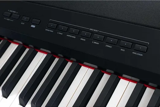 STEINMAYER P-60 SM [88 keys] (6 / 11)