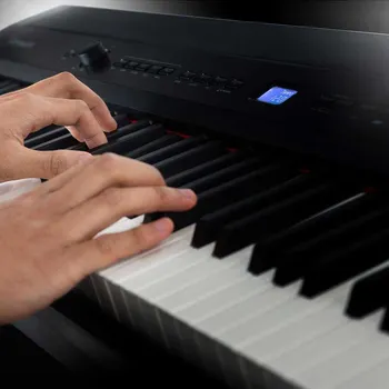 STEINMAYER P-60 SM [88 keys] (8 / 11)
