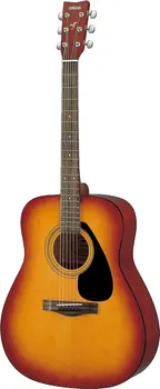 YAMAHA F310 (1 / 2)