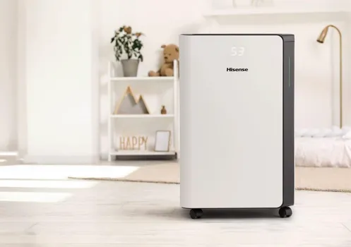 HISENSE D20CW (2 / 3)