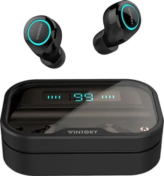 WINTORY WINTORY DUAL 2