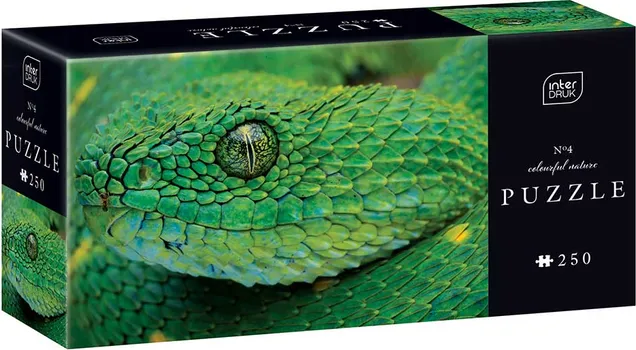 INTERDRUK COLOURFUL NATURE SNAKE [250pcs]