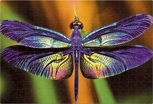 INTERDRUK COLOURFUL NATURE DRAGONFLY [250pcs]