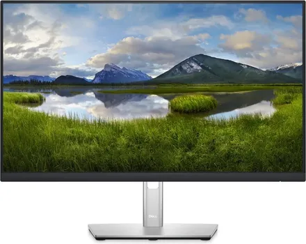 DELL P2422H (3 / 14)