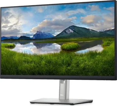 DELL P2422H (4 / 14)