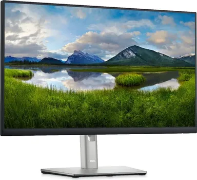 DELL P2422H (8 / 14)