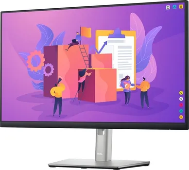 DELL P2422H (9 / 14)