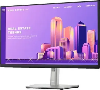 DELL P2422H (11 / 14)