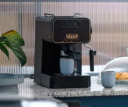 GAGGIA ESPRESSO EVOLUTION (13 / 13)