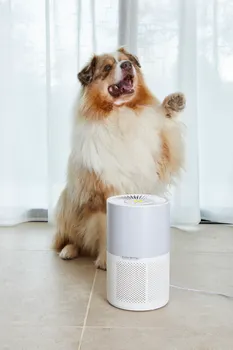 ROWENTA PREČIŠĆIVAČ VAZDUHA PURE AIR COMPACT BIJELI/SIVI (5 / 5)