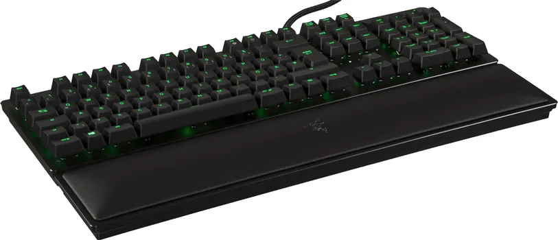 RAZER HUNTSMAN ELITE (9 / 17)