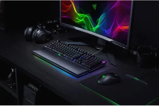 RAZER HUNTSMAN ELITE (13 / 17)