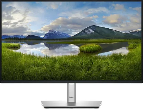 DELL P2425HE (1 / 24)