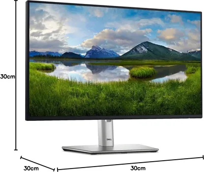 DELL P2425HE (2 / 24)