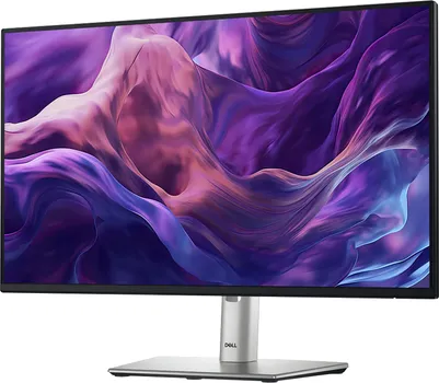 DELL P2425HE (15 / 24)