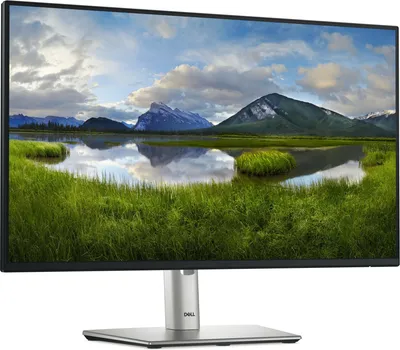 DELL P2425HE (16 / 24)