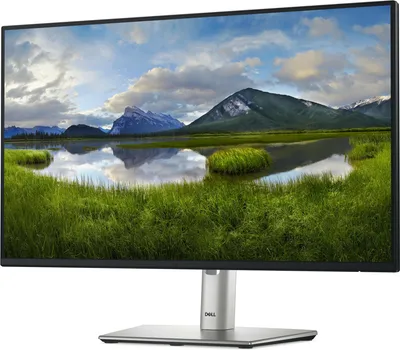 DELL P2425HE (18 / 24)