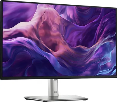 DELL P2425HE (20 / 24)