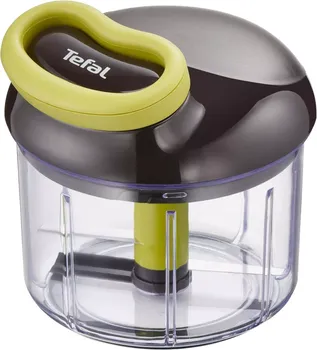 TEFAL N00018172 (1 / 1)