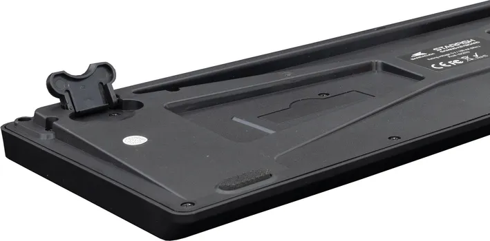 BARACUDA STARFISH (4 / 6)