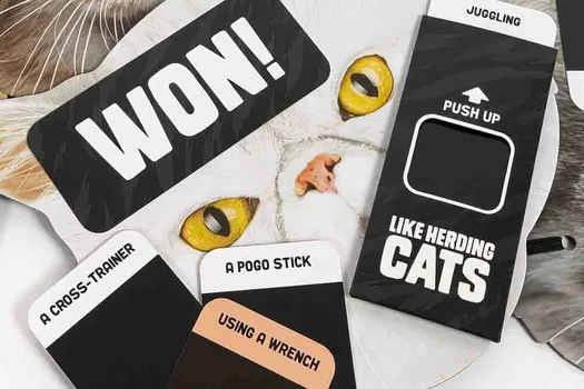 LIKE HERDING CATS GAME (1 / 3)