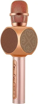 WSTER YS-63 KARAOKE BLUETOOTH (2 / 2)