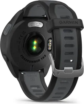 GARMIN FORERUNNER 165 (11 / 14)