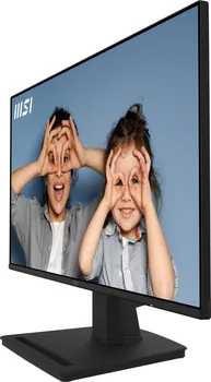 MSI PRO MP252 (19 / 20)