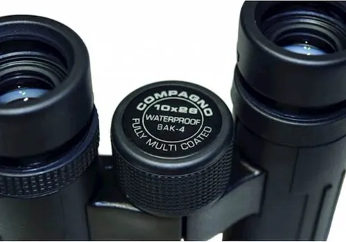 BRAUN DVOGLED 10X26 (3 / 3)